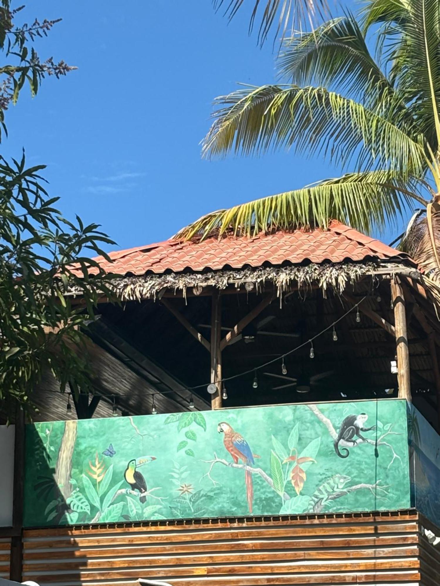 Quinta Esencia Bed & Breakfast Brasilito Exterior foto