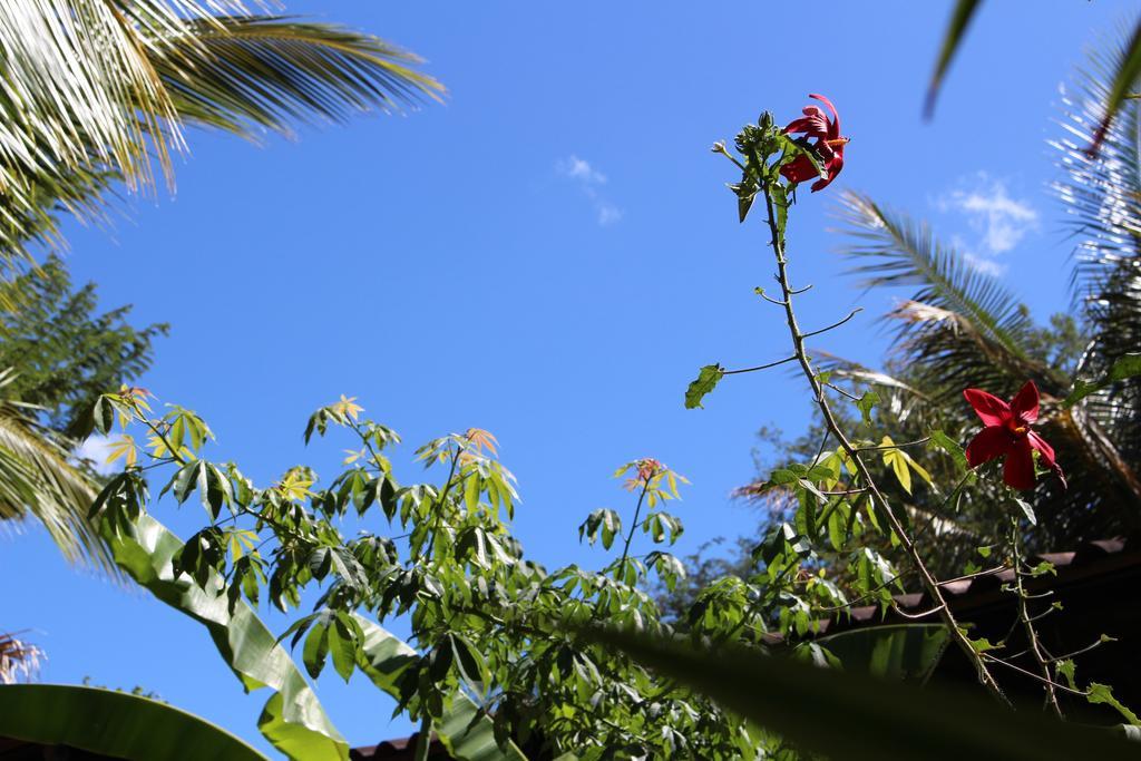 Quinta Esencia Bed & Breakfast Brasilito Exterior foto