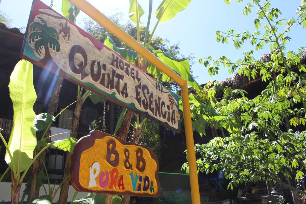 Quinta Esencia Bed & Breakfast Brasilito Exterior foto